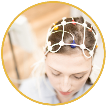 eeg-eliteexames